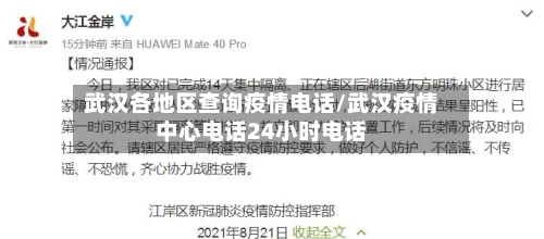 武汉各地区查询疫情电话/武汉疫情中心电话24小时电话-第3张图片
