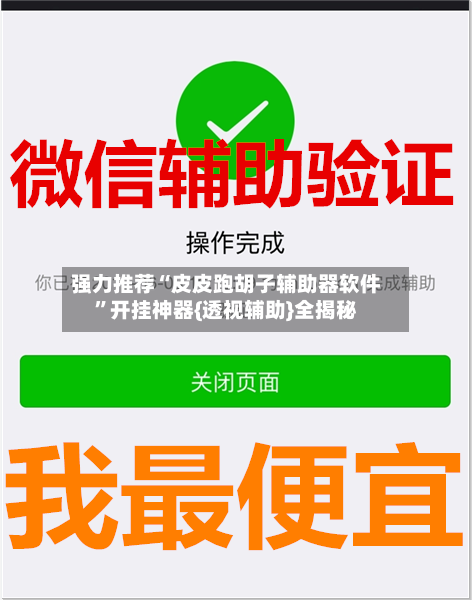 强力推荐“皮皮跑胡子辅助器软件”开挂神器{透视辅助}全揭秘-第3张图片