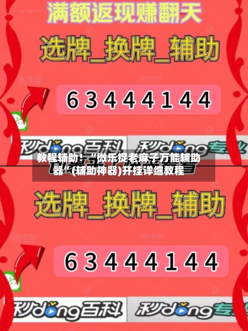 教程辅助！“微乐捉老麻子万能辅助器”(辅助神器)开挂详细教程-第2张图片