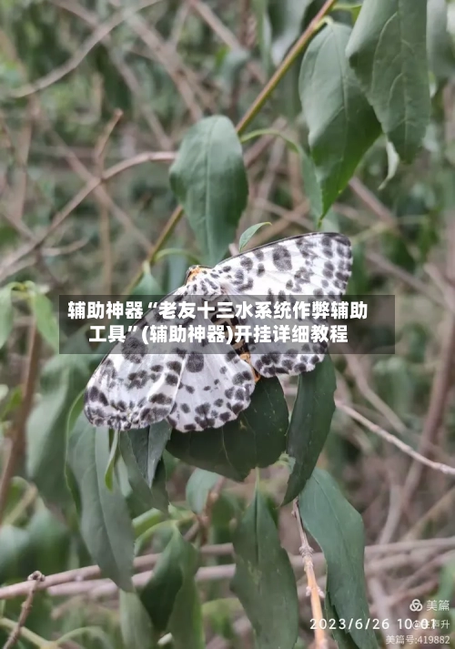 辅助神器“老友十三水系统作弊辅助工具	”(辅助神器)开挂详细教程-第2张图片