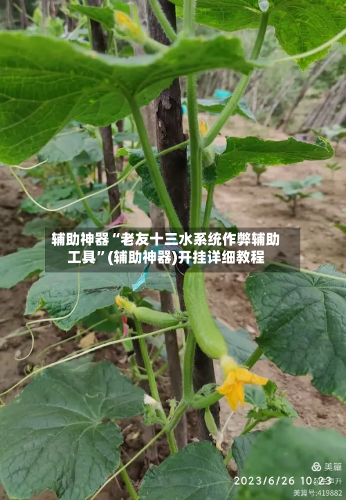 辅助神器“老友十三水系统作弊辅助工具”(辅助神器)开挂详细教程