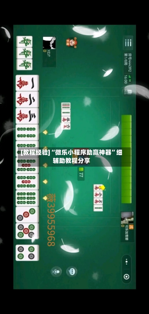 [教程经验]“微乐小程序助赢神器	”细辅助教程分享-第2张图片