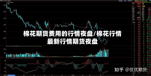 棉花期货费用的行情夜盘/棉花行情最新行情期货夜盘-第3张图片
