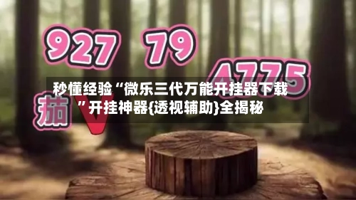 秒懂经验“微乐三代万能开挂器下载”开挂神器{透视辅助}全揭秘-第2张图片