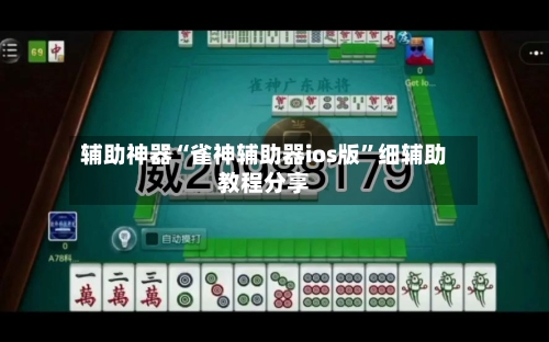 辅助神器“雀神辅助器ios版”细辅助教程分享-第3张图片