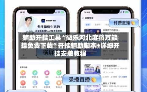 辅助开挂工具“微乐河北麻将万能挂免费下载”开挂辅助脚本+详细开挂安装教程