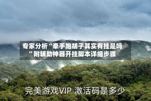 专家分析“牵手跑胡子其实有挂是吗”附辅助神器开挂脚本详细步骤-第2张图片