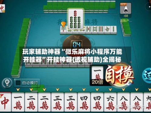 玩家辅助神器“微乐麻将小程序万能开挂器”开挂神器{透视辅助}全揭秘-第3张图片