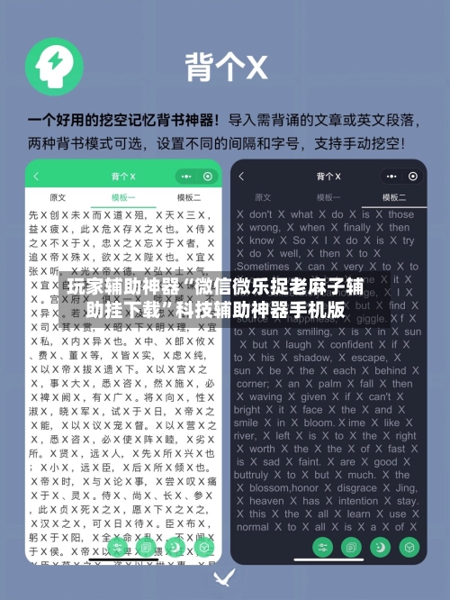 玩家辅助神器“微信微乐捉老麻子辅助挂下载”科技辅助神器手机版-第3张图片