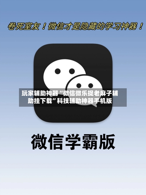 玩家辅助神器“微信微乐捉老麻子辅助挂下载”科技辅助神器手机版-第2张图片