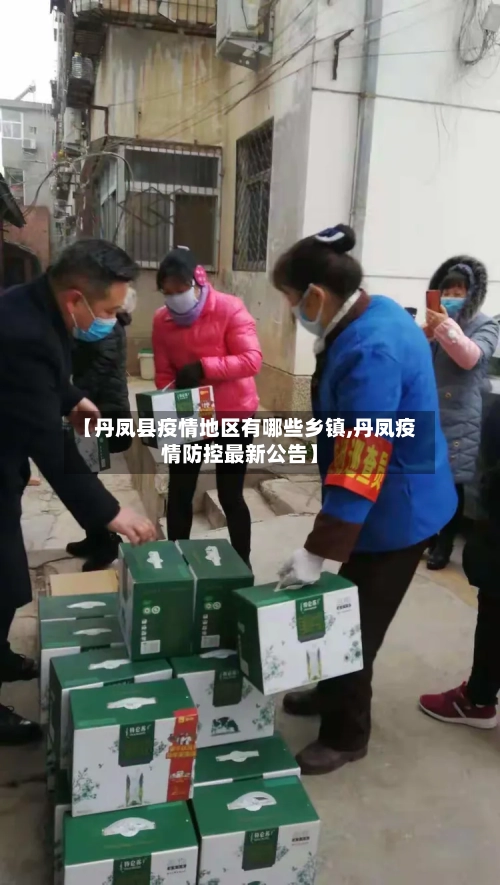 【丹凤县疫情地区有哪些乡镇,丹凤疫情防控最新公告】-第3张图片