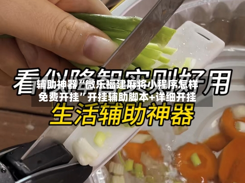 辅助神器“微乐福建麻将小程序怎样免费开挂”开挂辅助脚本+详细开挂