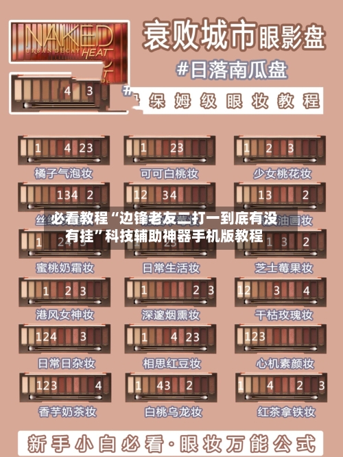 必看教程“边锋老友二打一到底有没有挂”科技辅助神器手机版教程-第3张图片