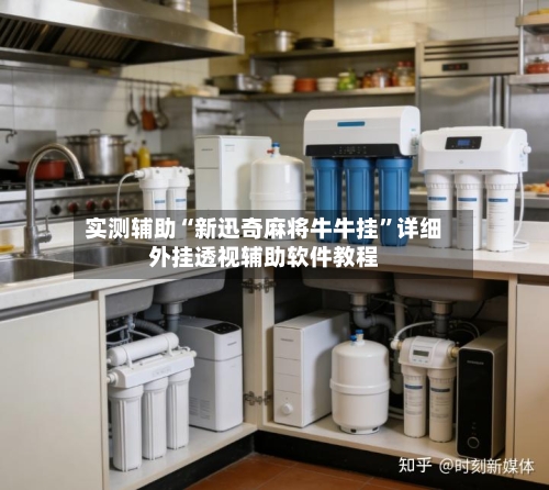 实测辅助“新迅奇麻将牛牛挂”详细外挂透视辅助软件教程-第2张图片