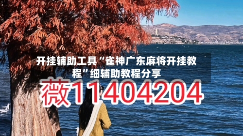 开挂辅助工具“雀神广东麻将开挂教程”细辅助教程分享