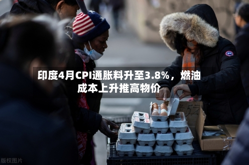 印度4月CPI通胀料升至3.8%，燃油成本上升推高物价-第2张图片