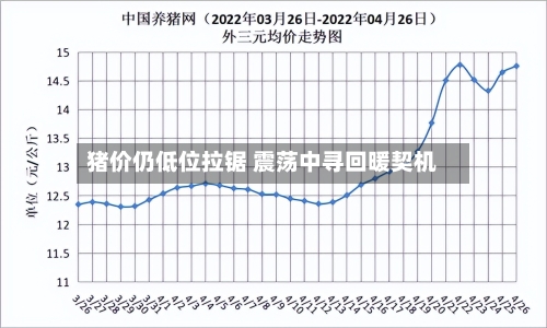 猪价仍低位拉锯 震荡中寻回暖契机