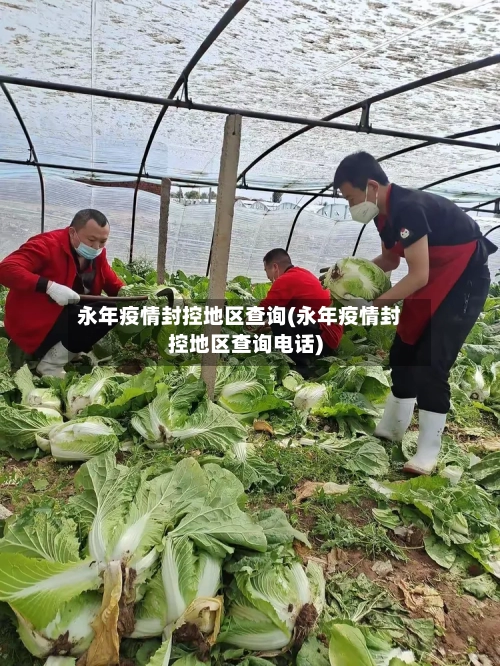 永年疫情封控地区查询(永年疫情封控地区查询电话)