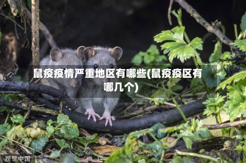 鼠疫疫情严重地区有哪些(鼠疫疫区有哪几个)