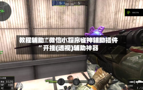 教程辅助“微信小程序雀神辅助插件	”开挂(透视)辅助神器-第3张图片