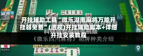 开挂辅助工具“微乐湖南麻将万能开挂器免费	”(透视)开挂辅助脚本+详细开挂安装教程-第2张图片
