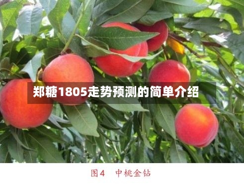 郑糖1805走势预测的简单介绍