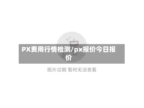 PX费用行情检测/px报价今日报价