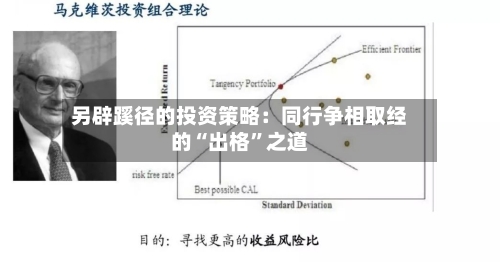 另辟蹊径的投资策略：同行争相取经的“出格”之道-第2张图片