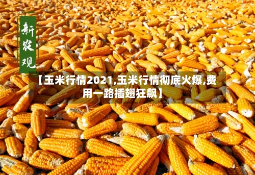 【玉米行情2021,玉米行情彻底火爆,费用一路插翅狂飙】-第3张图片