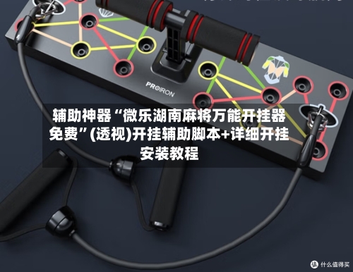 辅助神器“微乐湖南麻将万能开挂器免费”(透视)开挂辅助脚本+详细开挂安装教程-第2张图片