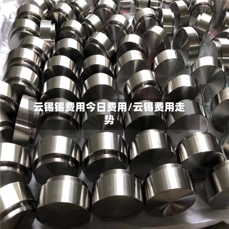 云锡锡费用今日费用/云锡费用走势