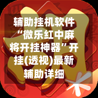 辅助挂机软件“微乐红中麻将开挂神器”开挂(透视)最新辅助详细-第3张图片