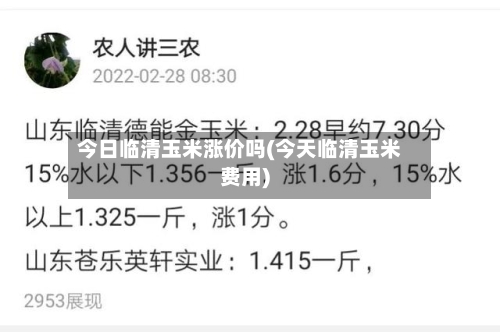 今日临清玉米涨价吗(今天临清玉米费用)