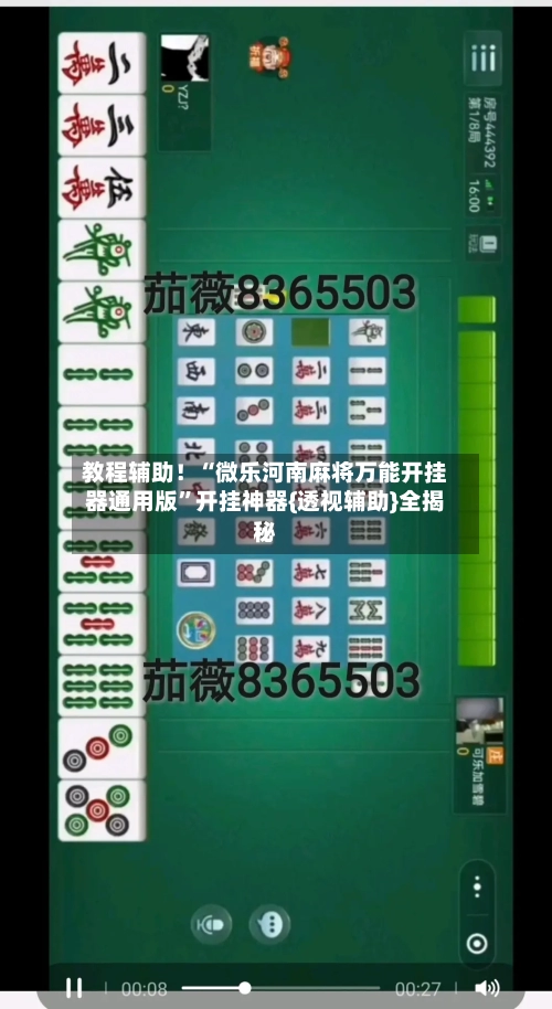 教程辅助！“微乐河南麻将万能开挂器通用版	”开挂神器{透视辅助}全揭秘-第3张图片