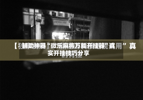 辅助神器“微乐麻将万能开挂器”真实开挂技巧分享-第2张图片