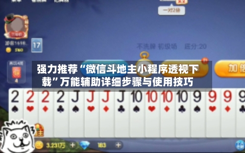 强力推荐“微信斗地主小程序透视下载”万能辅助详细步骤与使用技巧-第3张图片