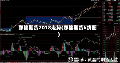 郑棉期货2018走势(郑棉期货k线图)-第3张图片