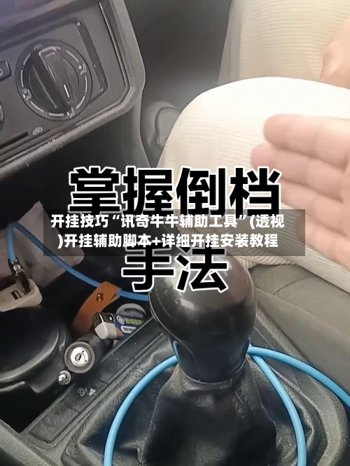 开挂技巧“讯奇牛牛辅助工具”(透视)开挂辅助脚本+详细开挂安装教程-第2张图片
