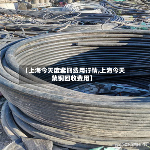 【上海今天废紫铜费用行情,上海今天紫铜回收费用】