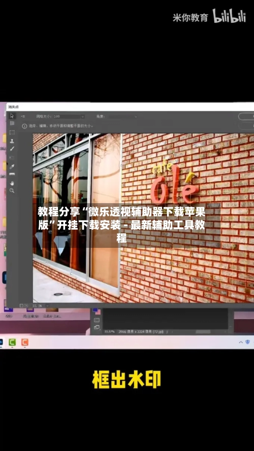 教程分享“微乐透视辅助器下载苹果版”开挂下载安装 - 最新辅助工具教程-第3张图片