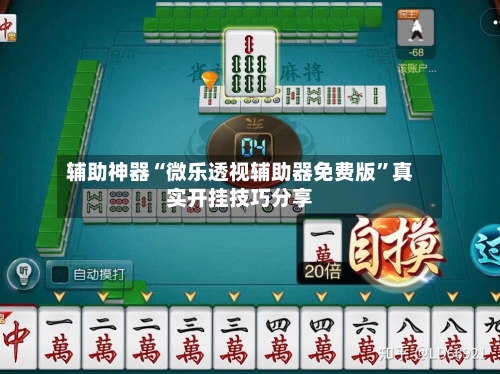 辅助神器“微乐透视辅助器免费版”真实开挂技巧分享