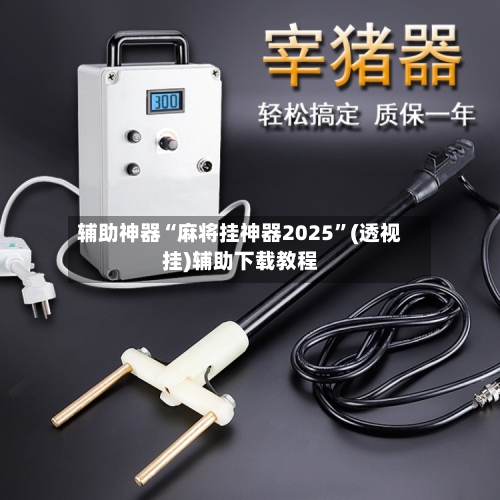 辅助神器“麻将挂神器2025	”(透视挂)辅助下载教程-第2张图片