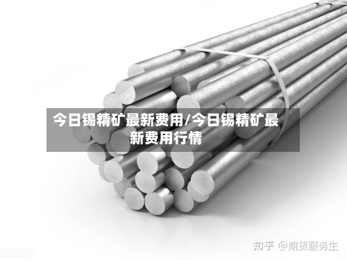 今日锡精矿最新费用/今日锡精矿最新费用行情