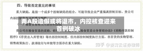 两A股造假或将退市，内控核查迎来首例破冰-第2张图片