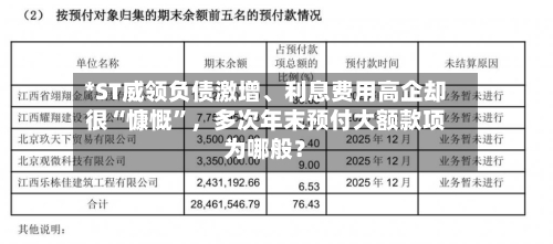 *ST威领负债激增、利息费用高企却很“慷慨”，多次年末预付大额款项为哪般？