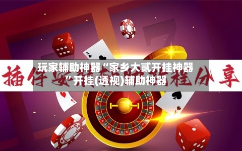 玩家辅助神器“家乡大贰开挂神器”开挂(透视)辅助神器-第2张图片