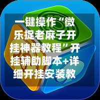 一键操作“微乐捉老麻子开挂神器教程	”开挂辅助脚本+详细开挂安装教程-第3张图片