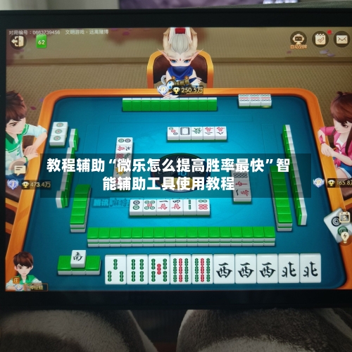 教程辅助“微乐怎么提高胜率最快”智能辅助工具使用教程-第3张图片