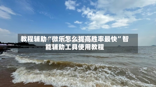 教程辅助“微乐怎么提高胜率最快”智能辅助工具使用教程-第2张图片