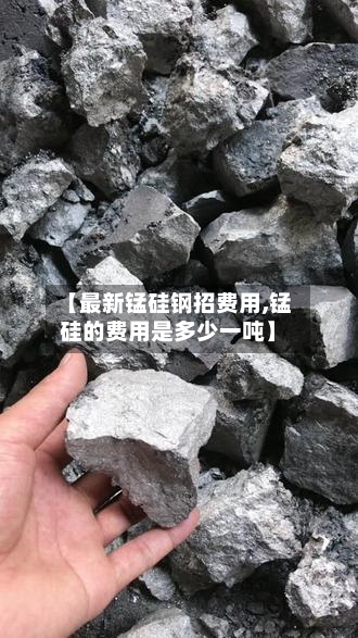 【最新锰硅钢招费用,锰硅的费用是多少一吨】